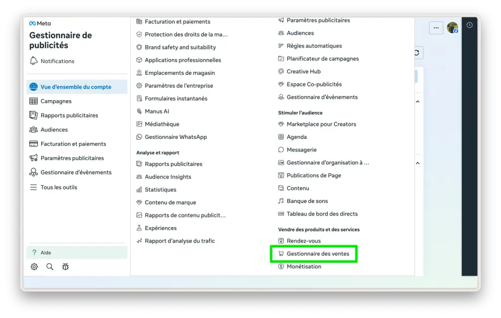 Screenshot : accès Gestionnaire des ventes